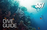 Dive-guide-card